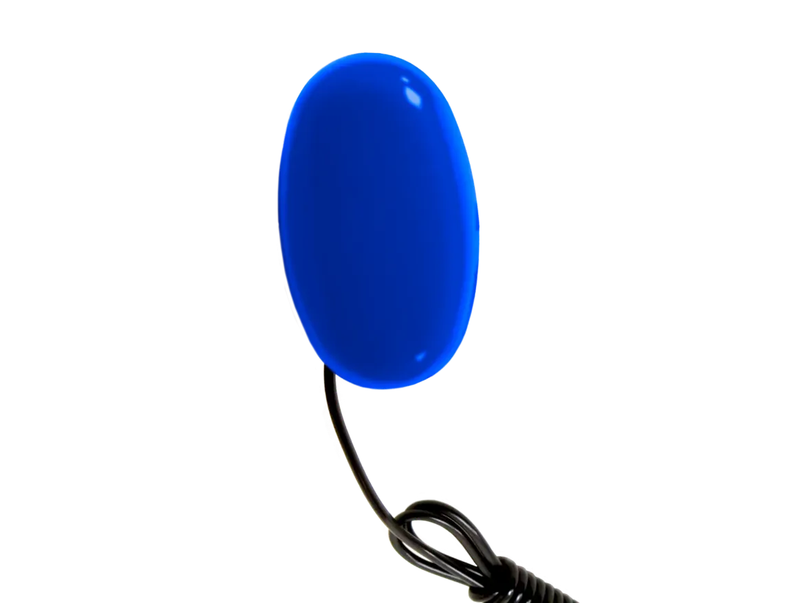 Picture of EGG SWITCH BLUE QTY 1