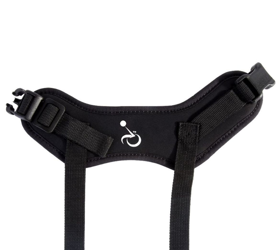 Picture of FIXED ANKLE SUPPORT, STRUCTURED, 1" WEBBING, LG