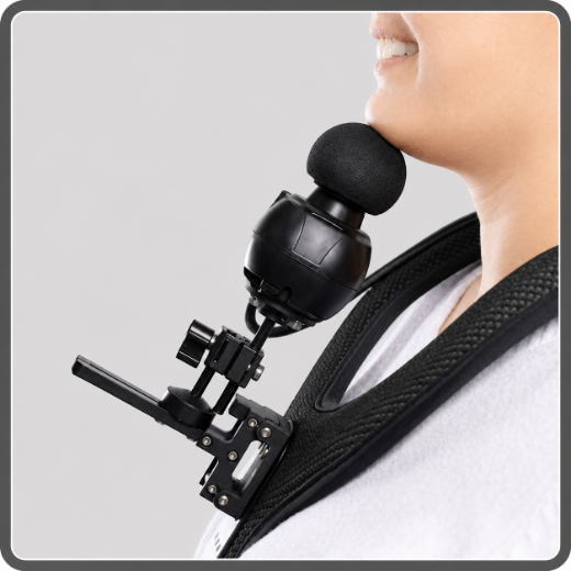 Picture for category Chin Control Harness
