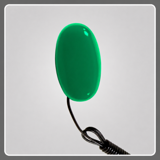Picture for category Egg Switches